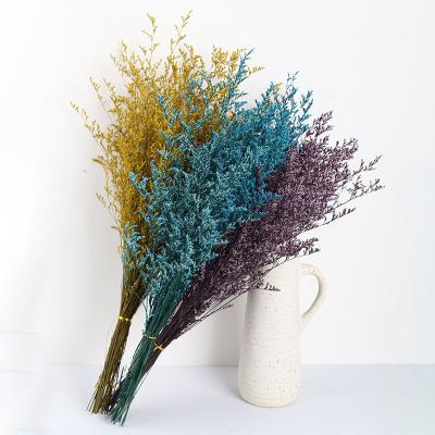 China Flower Arrangement Plant Provides Preserved Limonium Flower Lover Grass Eternal Valentine Grass For Flower Arrangement Or Decor for sale