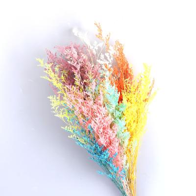 China 2022 Hot Sale Preserved Valentine Flower Bouquet Yunnan Flower Stabilized Limonium Grass 2022 For Flower Arrangement Or Decor for sale