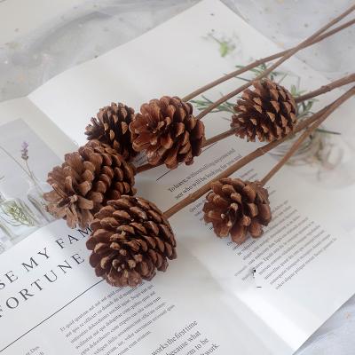 China Wholesale Natural Home Decoration Or Christmas Gifts Plant Brown Dried Flower Pine Cone Ornament For Home Decoration Or Christmas Gifts for sale