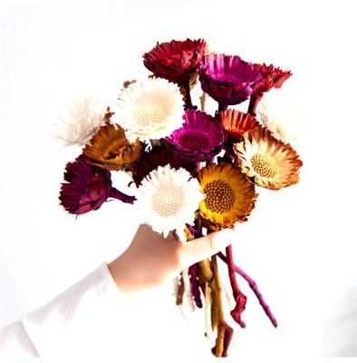 China Home Decoration Wholesale High Quality Dry Africa Sun Flowers Sunflower Bouquet For Flower Arrangement for sale