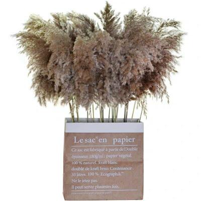 China 2022 hot sale natural dry wild pampas grass small pampas grass flower INS decotation wedding for home decoration for sale