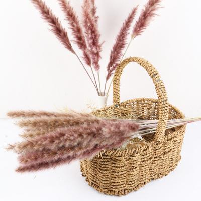 China Home Decoration Plant Supplies Natural Dried Pampas Preserved Small Pampas Grass For Flowers Arrangement for sale