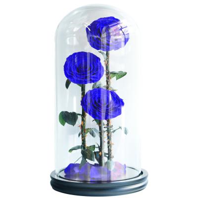 China Home Decoration Factory Provides Reasonable Price Durable Eternal Flower Preserved Rose In Glass Dome For Birthday Christmas Gifts for sale