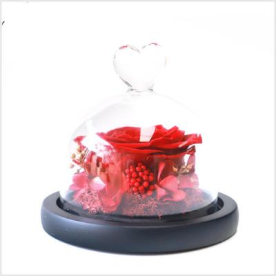 China Most Popular Gifts Ins. Various Colors Preserved Roses In Glass Dome For Valentine's Day Christmas Gift for sale