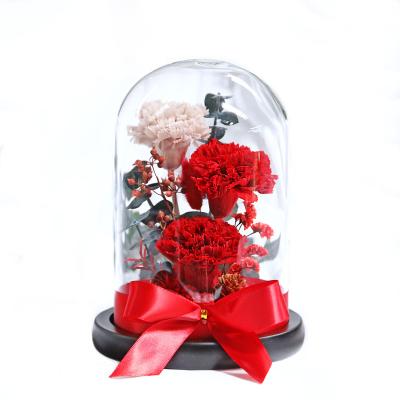 China Gifts Preserved Carnation Flower In Glass Dome Gift For Valentine's Day Or Mother's Day Christmas for sale