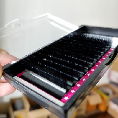 China Mega Thick Individual Eyelash 25mm D Volume Eyelash Extension Long 20mm Curl 0.05 0.07 Rows Thick Individual Lash Tray Wholesale 12 for sale