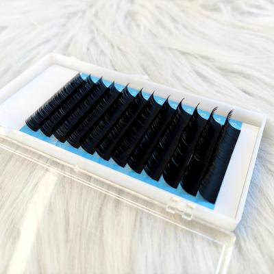 China Different Classic Eyelash Extensions 15mm 0.12mm D Loop Handmade Thick Flat Synthetic Soft Mega Ellipse Eyelash Extensions for sale