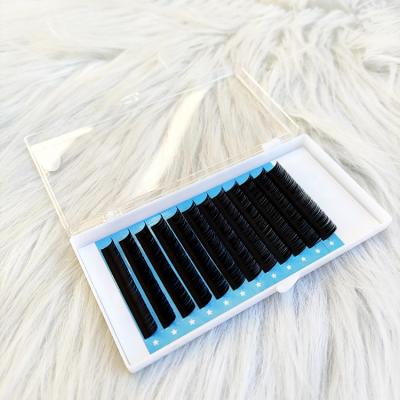 China Matte Black Ellipse Flat False Thick Mink Eyelash Extensions Ellipse Shaped 10mm whips individual eyelash extension for sale