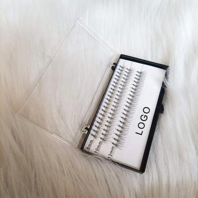 China Natural White Card No Logo Fans Eyelash Extension 0.1mm 10D 6-16mm Korean Silk Thick Volume Premade Eyelash Fans Private Label for sale