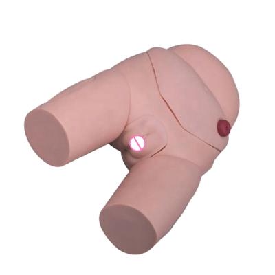 China 2020 New Medical Faculty Catheterization Female Urethral Simulator Medical Training Models for Nurse Teaching for sale