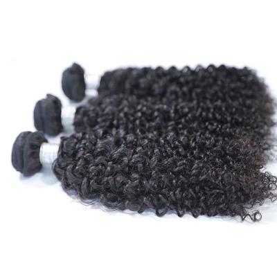 China No Tangle Shedding No Weft Double Cuticle Aligned Virgin Kinky Curly Hair Extensions Brazilian Hair Weave for sale