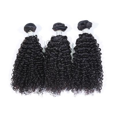 China LOOSE DEEP WAVE Brazilian Raw Mink One Donor Virgin Brazilian Remy Extensions Bundles Natural Unprocessed Cuticle Lined Curly Hair for sale