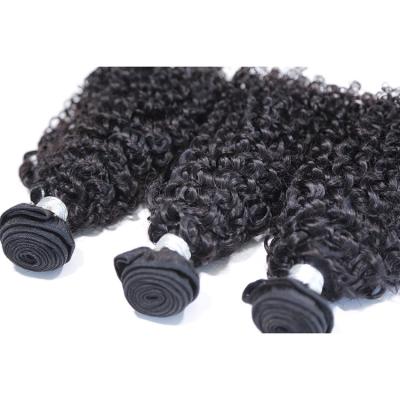 China No Tangle No Shedding Kinky Curly Afro Virgin Raw Cambodian Hair for sale