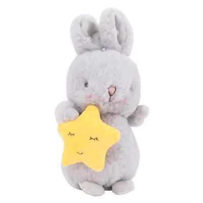 China Plush Stuffed Custom Plush Cute Rabbit With Carrot And Star In Hand for sale