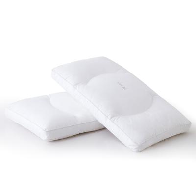 China Hotel Apple Hotel Rest Functional Type Pillows Sleep Pad Luxury Hotel Pillow for sale