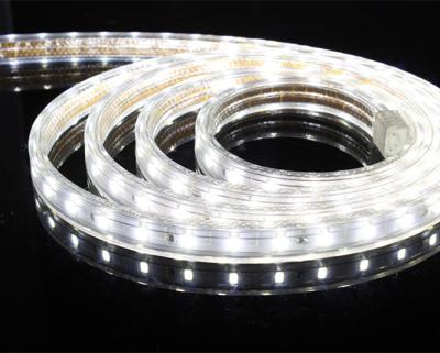 China 110v 220v 5630 High Voltage LED Strip Light Energy Saving With Adapater for sale