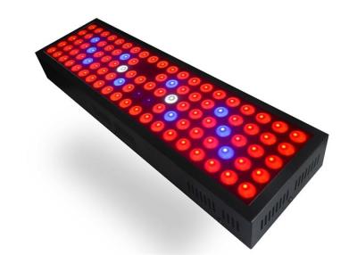 China 300W APL LED Illumination Lights Plant Grow Lights For Garden Seedlings for sale