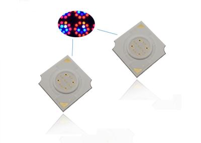 China Multi Wavelength 4W Led Grow Light 1414 COB Led Chip  450nm  Size  14*14mm for sale