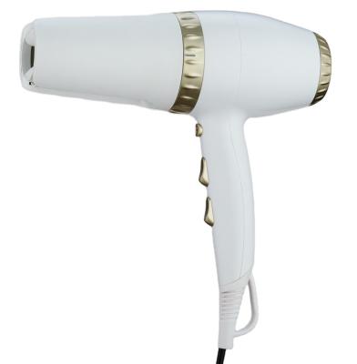 China 1.8m cable length in total wholesale popular product custom factory salon heat hair dryer directly for sale