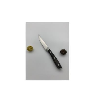 China Viable Success 4.5 Inch High Carbon Stainless Steel Kitchen Knife Chef Knife For Chef for sale