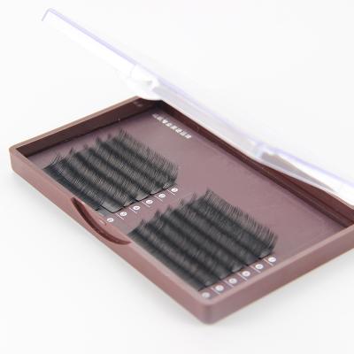 China Delicate private label eyelash extensions with lashes box for sale