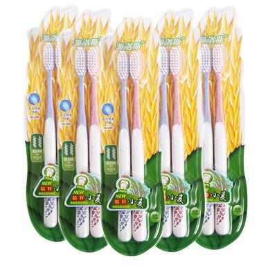 China Reusable Customized Biodegradable Plastic Wheat Straw Toothbrush With Blister Card for sale