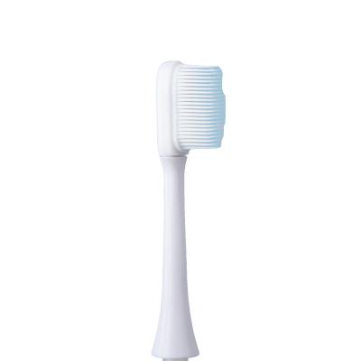 China Bulk Clean Sonic Main Toothbrush Electric Toothbrush Refill Manual Toothbrush With Nano Head for sale