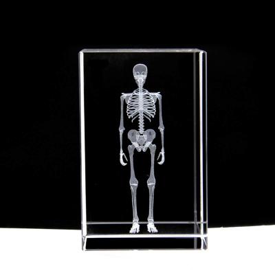 China China Manufacturer JY Wholesale Custom 3d Human Skeleton Anatomical Model Laser Etching Crystal Glass Crafts for sale