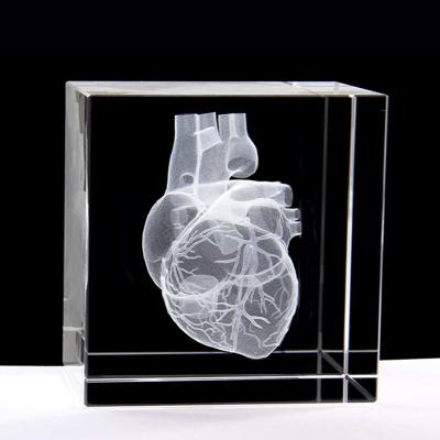 China China JY factory supply human brain anatomical model engrave 3d laser crystal glass block for sale