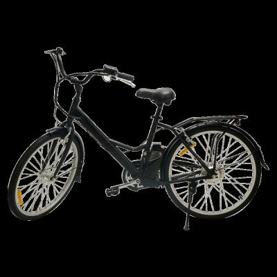 China 2 Seat Steel Chinese Electric Bike 2021 36v 8AH e-Bike Lithium Battery Electric Bike for sale