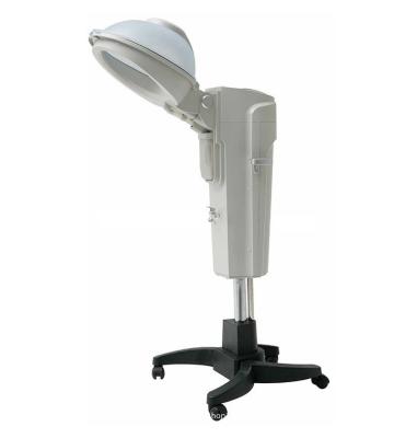 China High End Salon Technology Standing Hair Steamer (Machine) 124.5*42.5*40=0.21m² ³ (base) 60.5*12.5*56=0.042mÂ ³ for sale