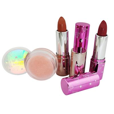 China Waterproof Wholesale 4 in 1 Waterproof Velvet Matte Lipstick Set Organic Private Label Lipstick and Tint Set Vegan for sale