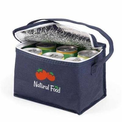 China Outdoor Portable Insulated Thermal Bags Bulk Keep Your Refreshments Cool for sale