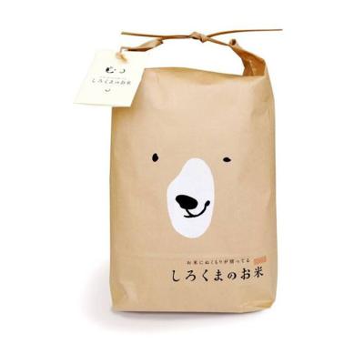 China Factory Price Recyclable Good Quality Christmas Kraft Paper Gift Bags for sale