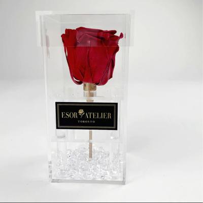 China Best Small Square Clear Acrylic Box Rose Flower Packaging With Lid Square High Class Single Flower Box for sale