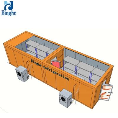 China Container 100 tons cold storage lotus cold room wholesale frozen chicken squid for mango cCold storage unit for vegetable for sale