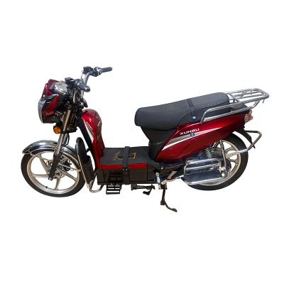 China Factory sale OEM 800w 60V steel cargo e-bike hot electric bike bicycle for sale