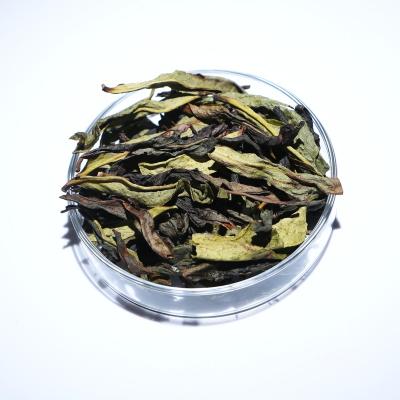 China Healthy Refreshing Diet Single Tea Tea In Phoenix Group Oolong Tea Bags Of High Quality Ripe Oolong Tea for sale