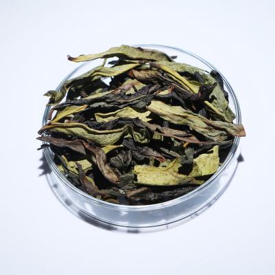 China Factory Wholesale Supply Best Fujian Oolong Tea Guan Yin Oolong Tea Bag Link for sale