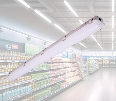 Cina LED Tri-proof Light Industrial IP66 2ft/4ft/5ft/8ft Facilità di installazione in vendita