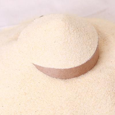 China Hot Selling Dry Chinese Dehydrated Garlic Garlic Powder Wholesale Bulk Spices for sale