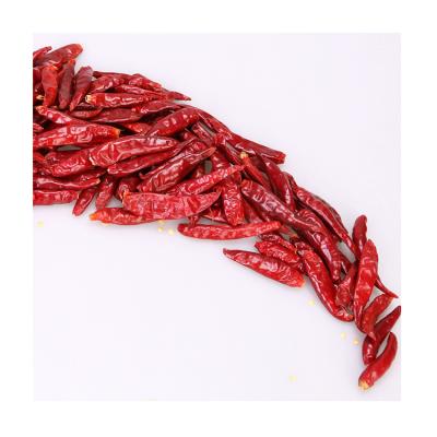 China Natural Professional Spice Manufacturer Whole Red Chilli Flakes Vietnam Chilies for sale