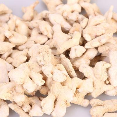 China Factory Direct Sale Welcome Ginger Cheap Price Dried Fresh Dried Ginger for sale