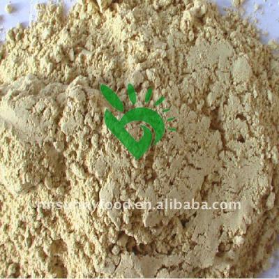 China Natural Herbs And Spices Good Quality Dried Powders Dried Turmeric Spices for sale