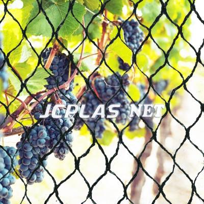 China Garden Protection Netting Garden Fruit Trees Vegetables Bird Netting Anti Pest Netting Fence Mesh for sale