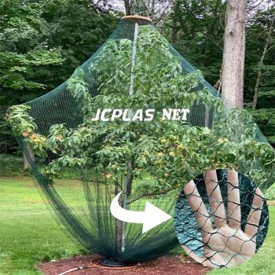 China Sunshade Anti Bird Net For Rice Field Fields Bird Protection Multiple Bird Mesh Netting Net for sale