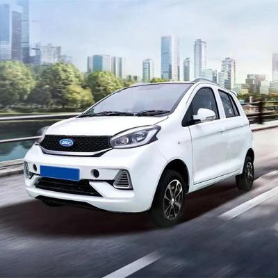 China Raysince factory hot sales model 5 door electric car adult vehicle 4 Seats electric vehicles for sale for sale