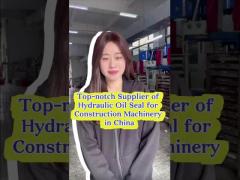 EX450-5 EX60-1 Hydraulic Cylinder Seal Heat Resistant