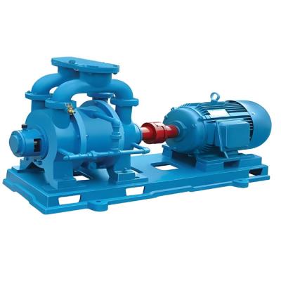 China 2BV/2SK Industrial Vacuum Pump With Explosion-Proof Enclosures For Safe Industrial for sale