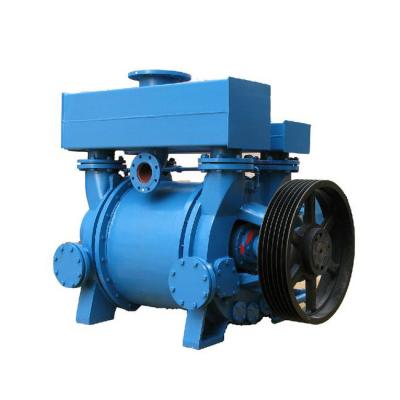 China Custom 2SK/2bv Water Circulation Electric Vacuum Pump 1~300HP 220V/380V for sale